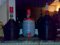 2010er - Jever-Wein in Gärung
